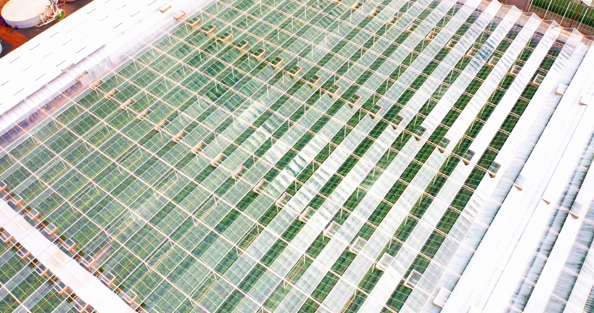 vlcsnap-2025-04-03-10h28m49s143